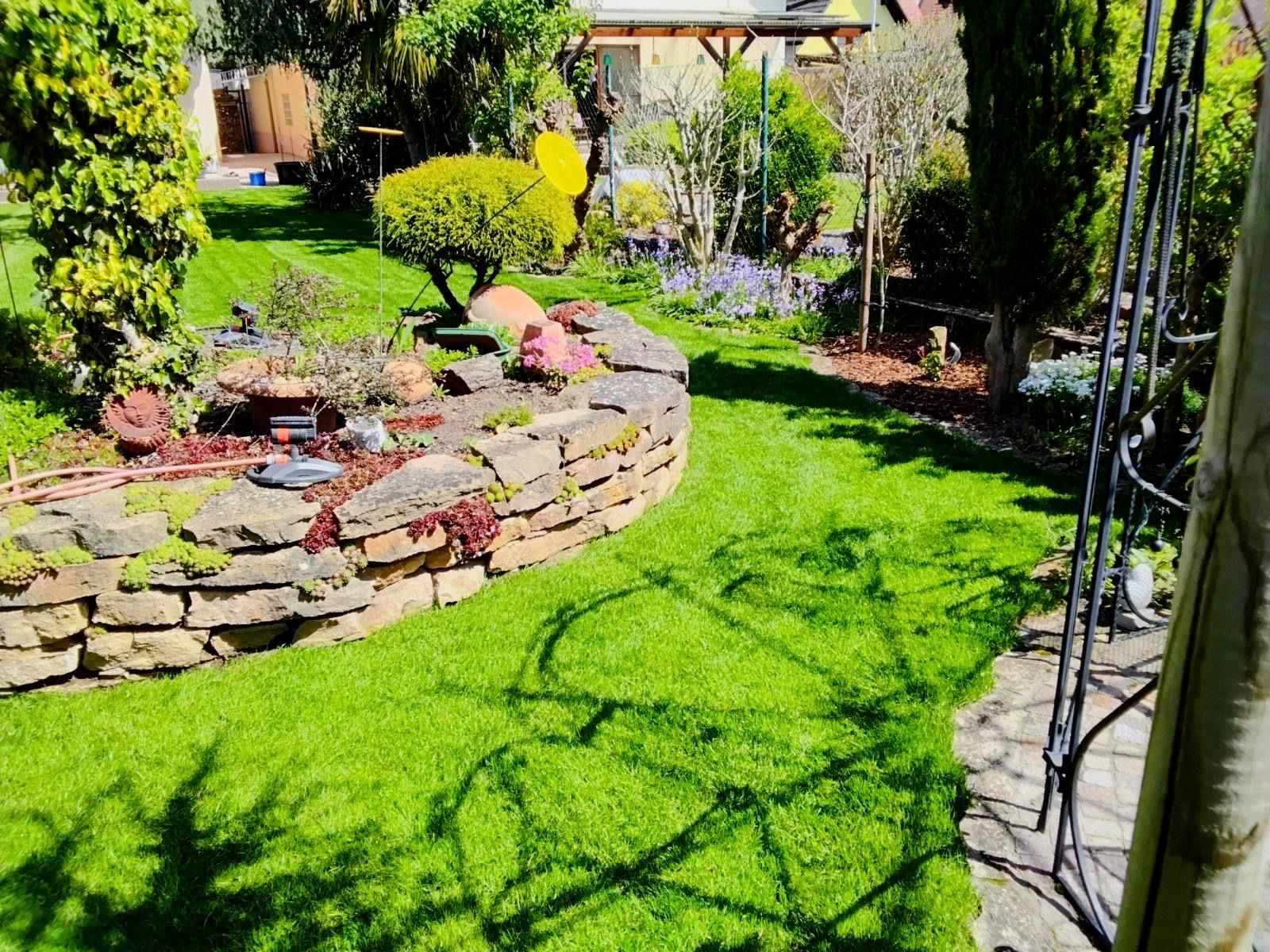Grünfix Gartenservice Projekt 13 – Gartenpflege im Ortenaukreis